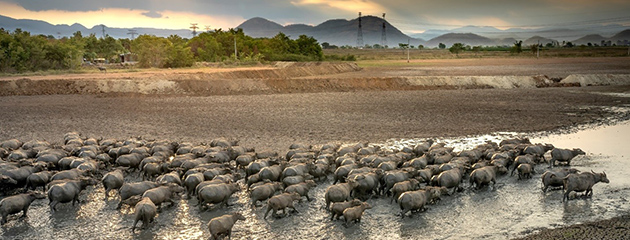 3 Candlestick Patterns Every Trader Should Know