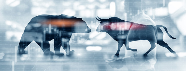 What are Bull and Bear Markets?  - Specifically in Forex