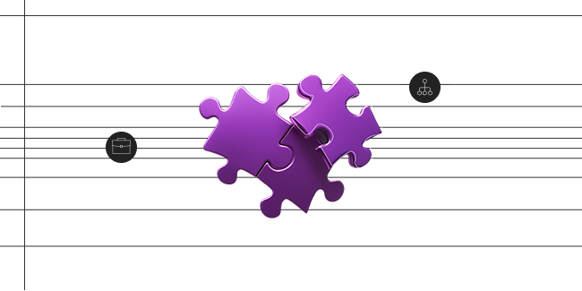 Our organizational structure